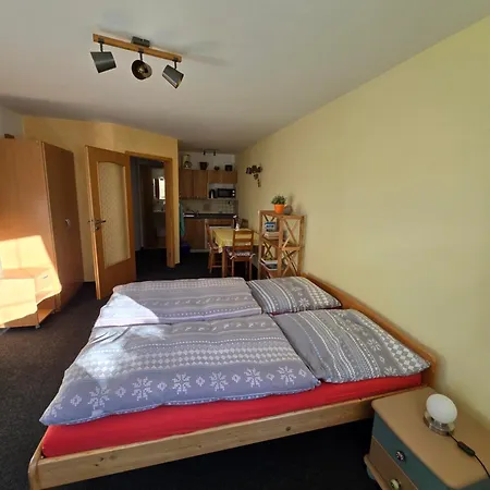 Samoty Apartment Zelezna Ruda
