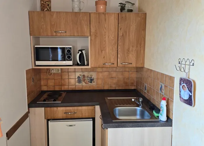 Apartment Samoty