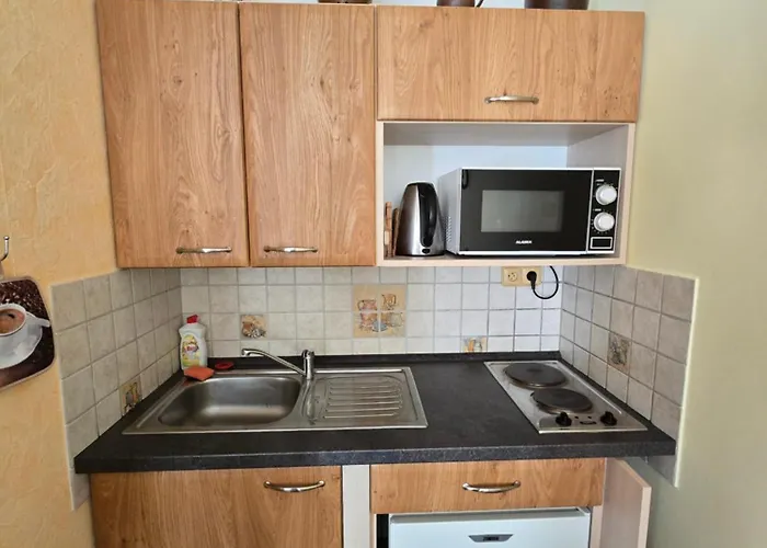 Samoty Apartment *